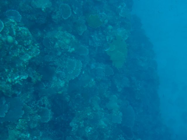 img0045.jpg
