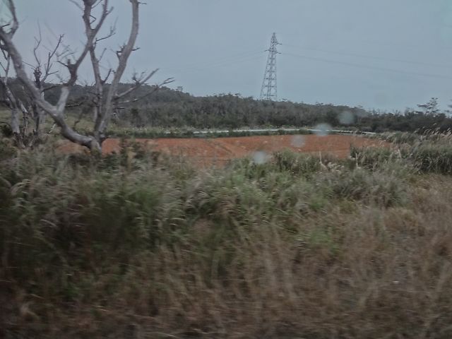 img0087.jpg