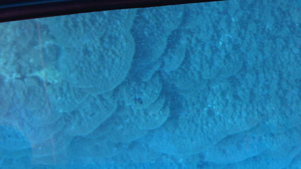 img0037.jpg