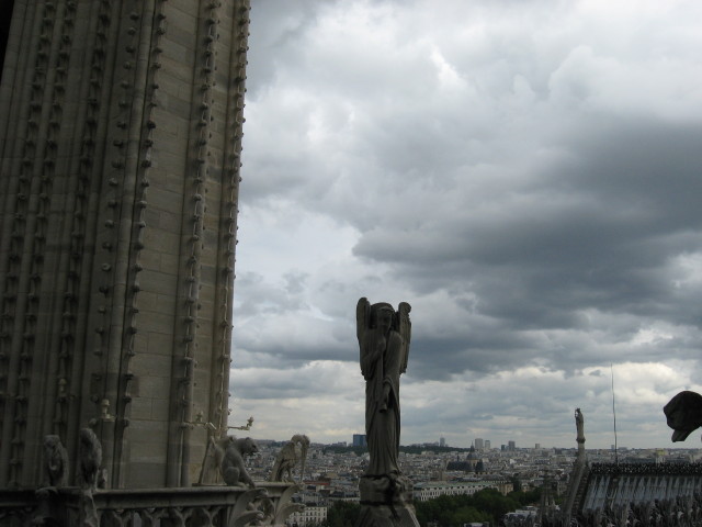 img0131.jpg