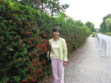 img0012.jpg