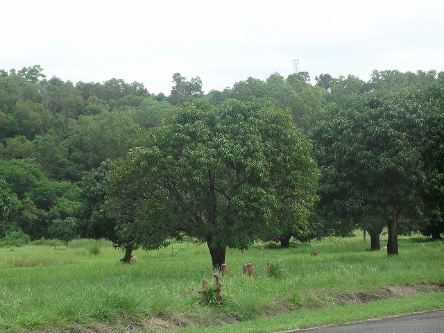 img0027.jpg