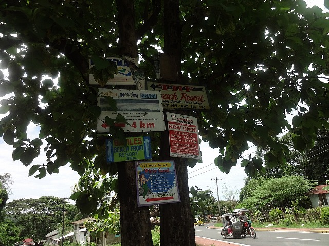 img0088.jpg