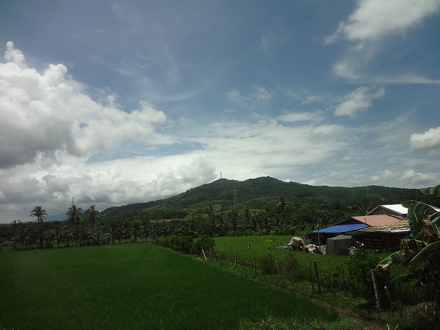 img0098.jpg