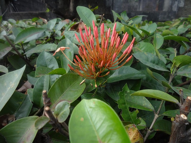 img0130.jpg