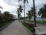 img0004.jpg