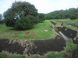 img0011.jpg