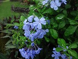 img0022.jpg