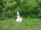 img0097.jpg