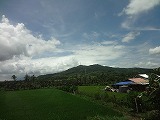 img0098.jpg
