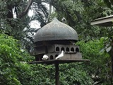 img0118.jpg