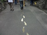 img0124.jpg