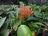 img0130.jpg