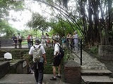 img0136.jpg
