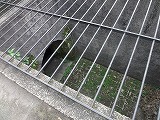 img0137.jpg