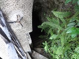 img0139.jpg