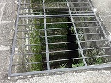img0141.jpg