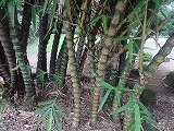img0145.jpg