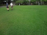img0147.jpg