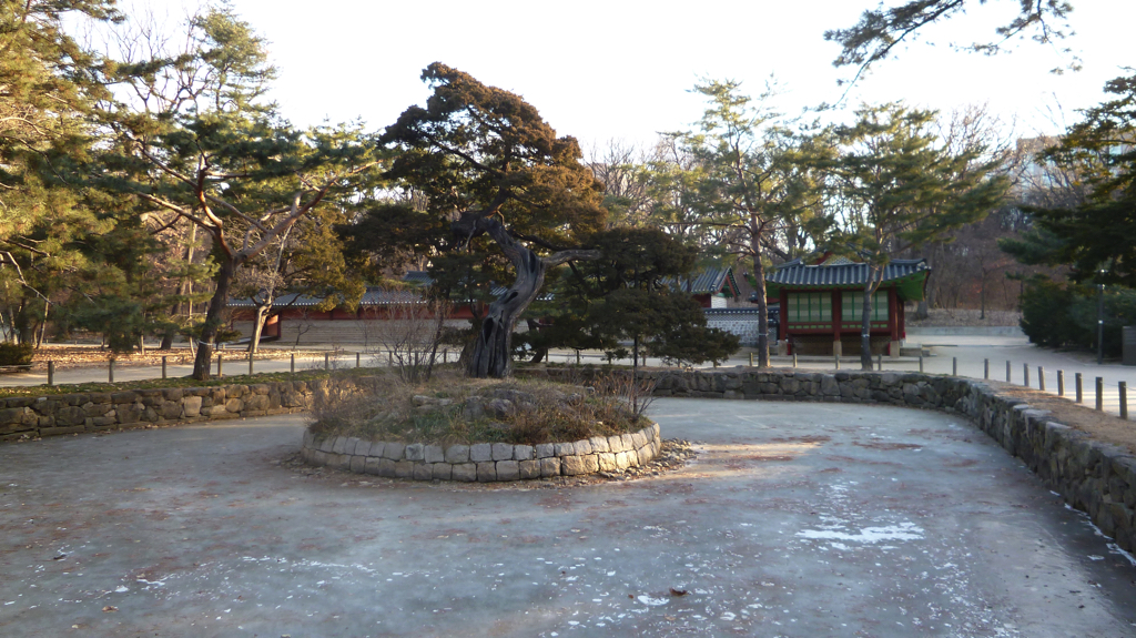 img0004.jpg