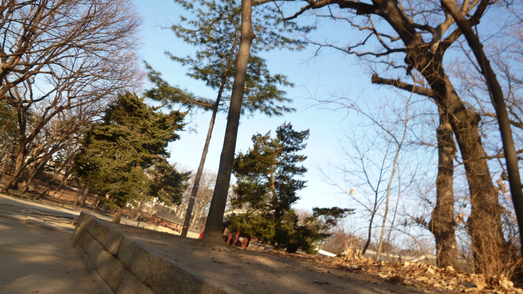 img0022.jpg