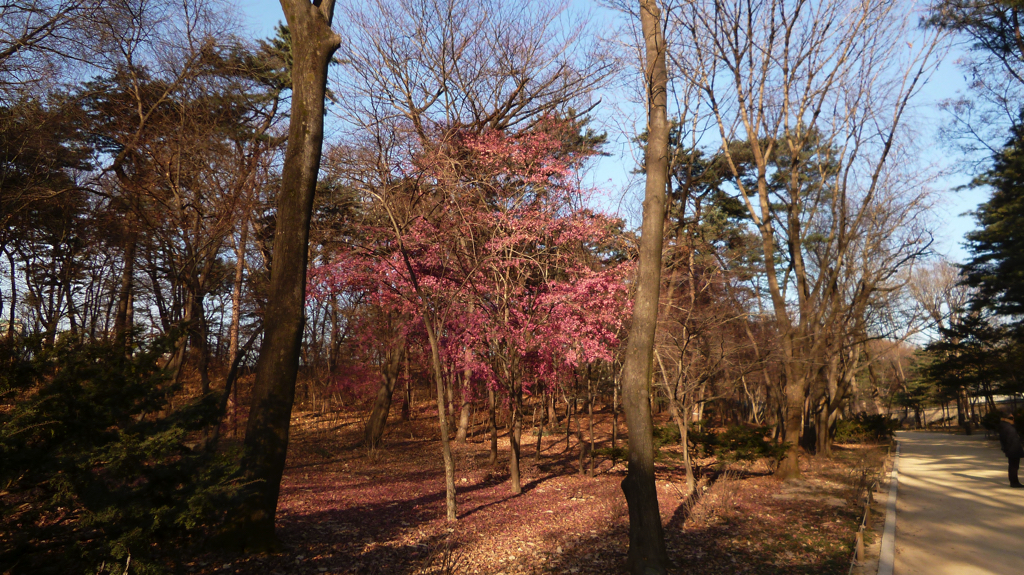 img0029.jpg