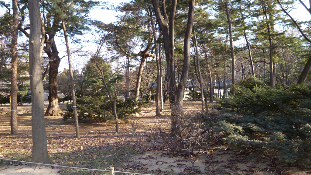 img0030.jpg