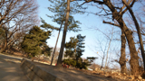 img0022.jpg