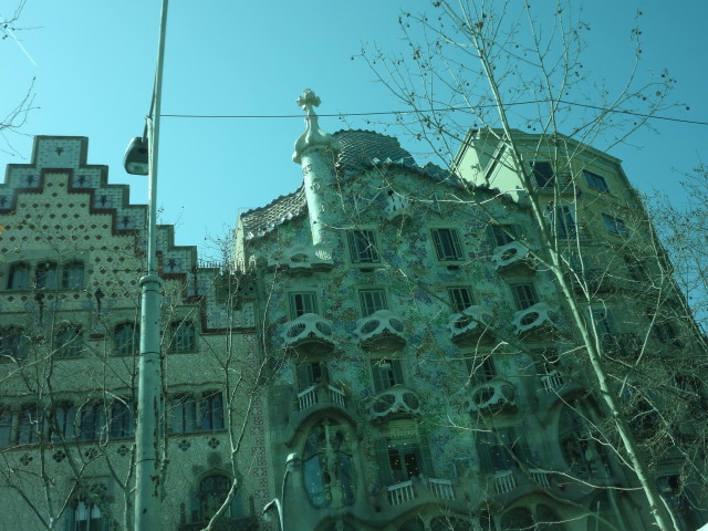 img0126.jpg