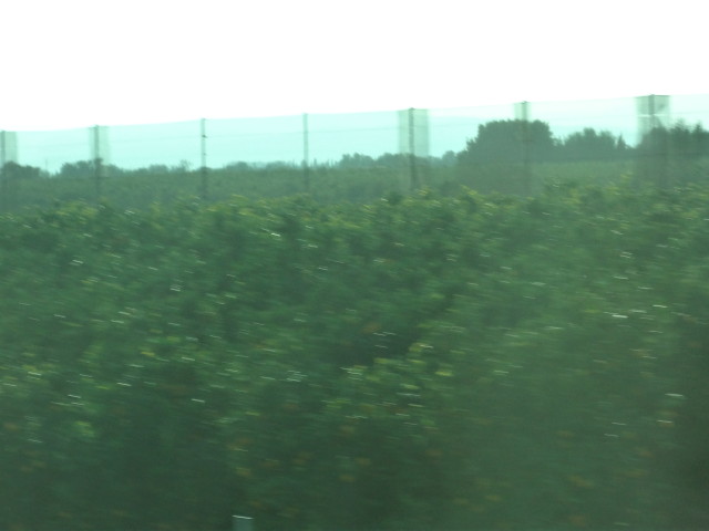 img0179.jpg