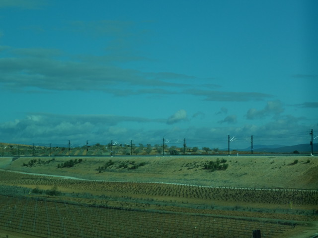 img0015.jpg