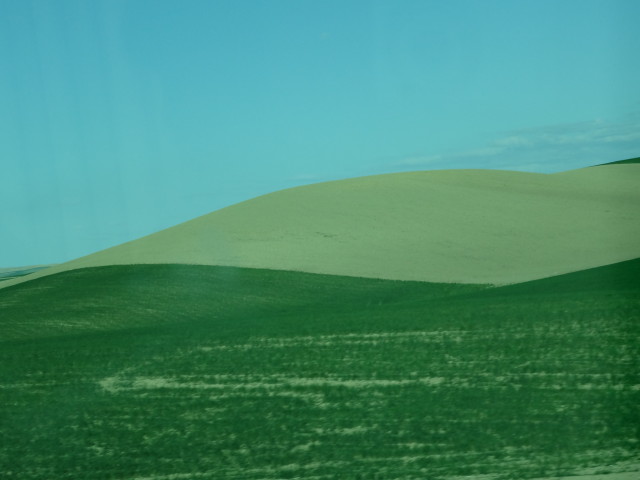 img0205.jpg