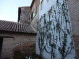 img0017.jpg