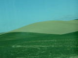 img0205.jpg