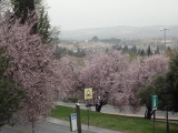 img0024.jpg