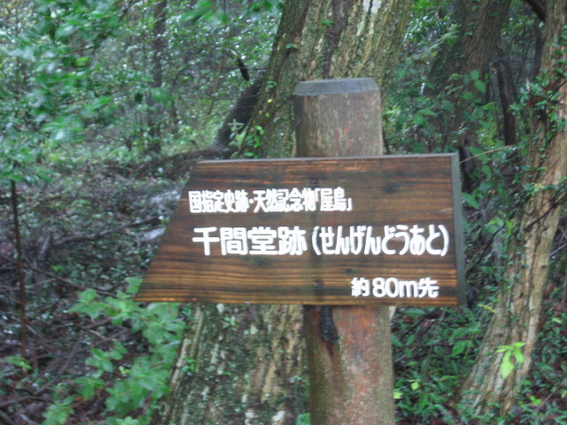 img0035.jpg