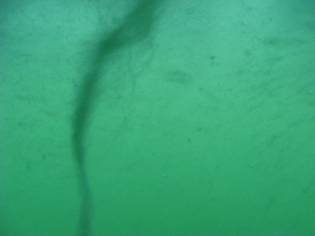 img0015.jpg