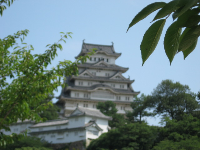 img0021.jpg