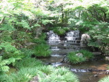 img0001.jpg