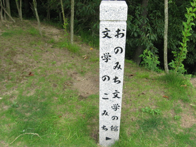 img0010.jpg