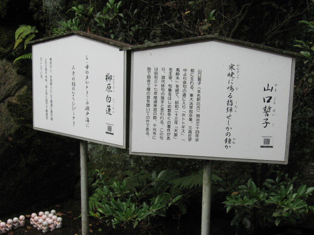 img0037.jpg