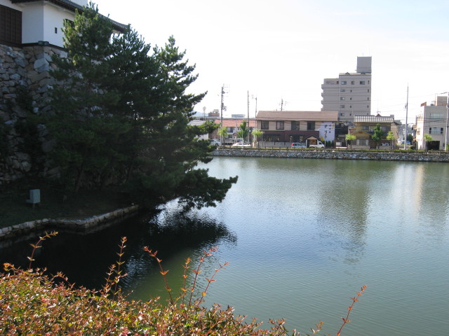 img0146.jpg