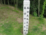 img0010.jpg