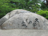 img0011.jpg