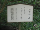 img0016.jpg