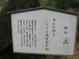 img0018.jpg