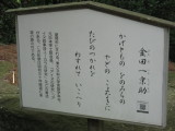 img0020.jpg