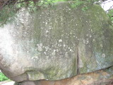 img0026.jpg