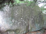 img0027.jpg