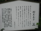img0029.jpg